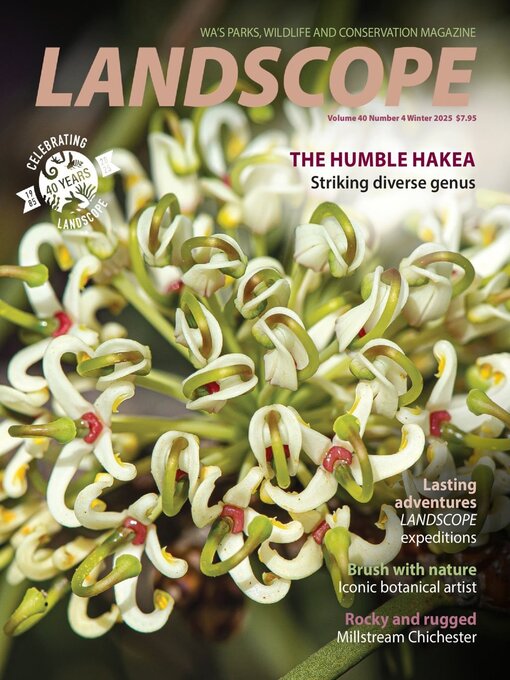 Title details for LANDSCOPE Magazine by Department of Biodiversity, Conservation & Attractions (DBCA) - Available
